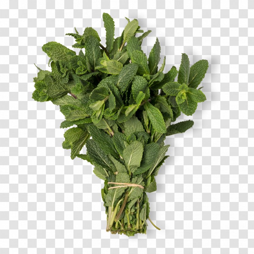 Herbaceous Plant Leaf Mint Plants Spinach - Herbalism - Swiss Chard Kale Transparent PNG