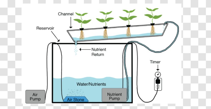 Nutrient Film Technique Hydroponics Deep Water Culture Aquaponics Agriculture - Farm Transparent PNG