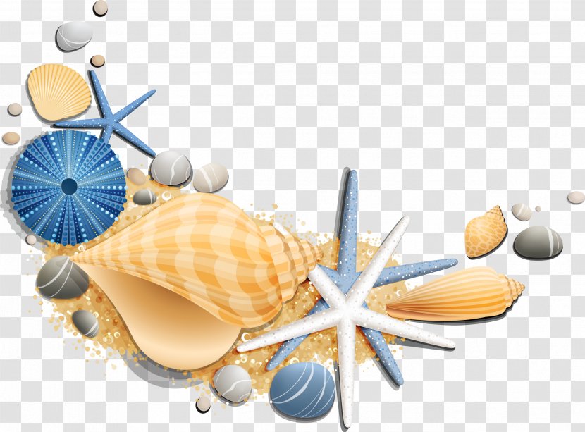 Vacation Sea Summer Beach Suite - Seashell Transparent PNG