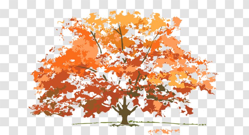 Four Seasons Hotels And Resorts Winter Autumn Clip Art - Leaf - Fall Tree Clipartsr Transparent PNG