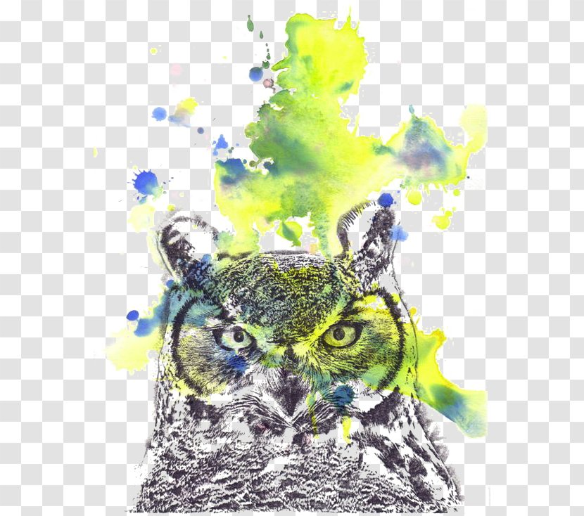 Owl Sloth Watercolor Painting Transparent PNG