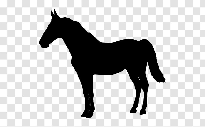 Horse Shape White Clip Art - Foal - Standing Transparent PNG