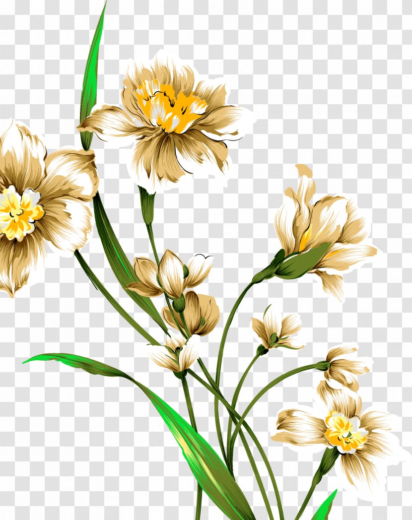 Narcissus Tazetta Drawing Watercolor Painting Download - Petal - Flowers Transparent PNG