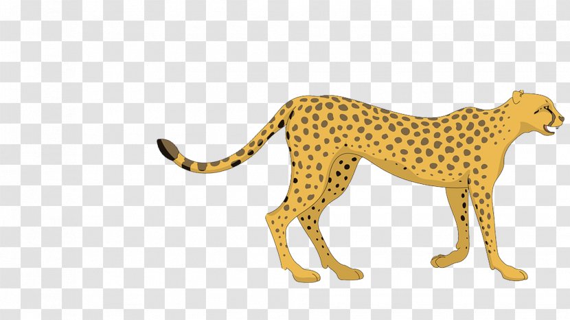 Cheetah Cartoon Leopard Clip Art - Drawing Transparent PNG