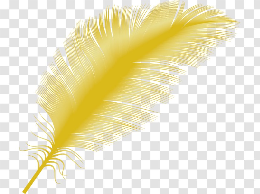 Yellow Feather Close-up - Wing Transparent PNG