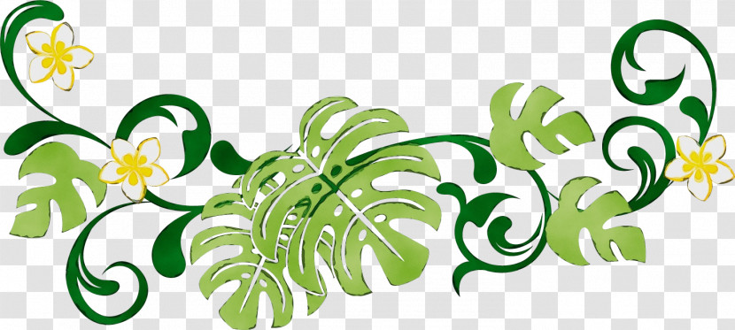 Floral Design Transparent PNG