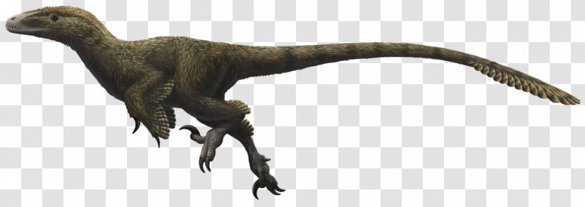 Utahraptor Velociraptor Deinonychus Iguanodon Allosaurus - Animal Figure - Ostrich Transparent PNG