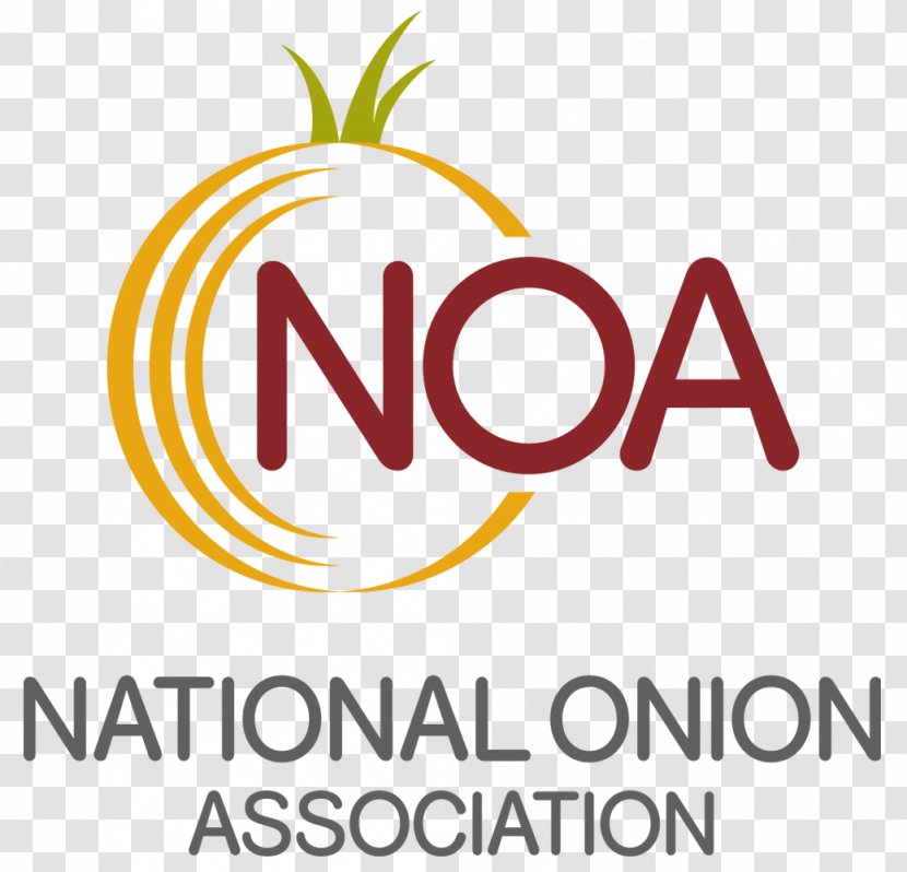 Cheese And Onion Pie National Association Quiche Cooking Potato Transparent PNG