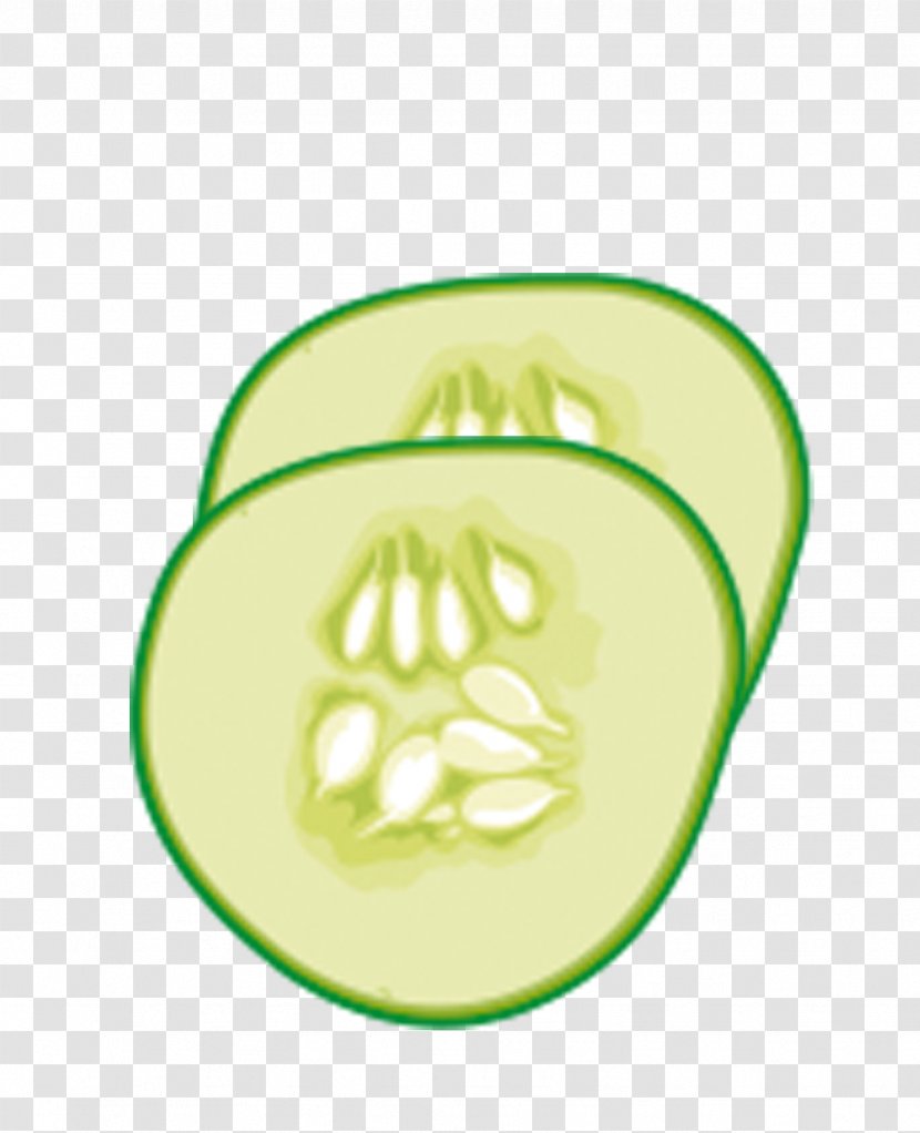 Slicing Cucumber Cartoon Illustration - Logo - Green Slices Transparent PNG