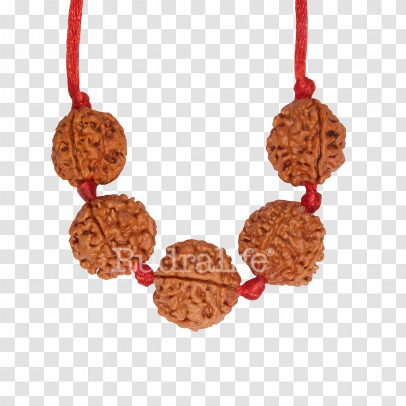 Rudraksha Rudralife Bead Japamala Health - Jewelry Making Transparent PNG