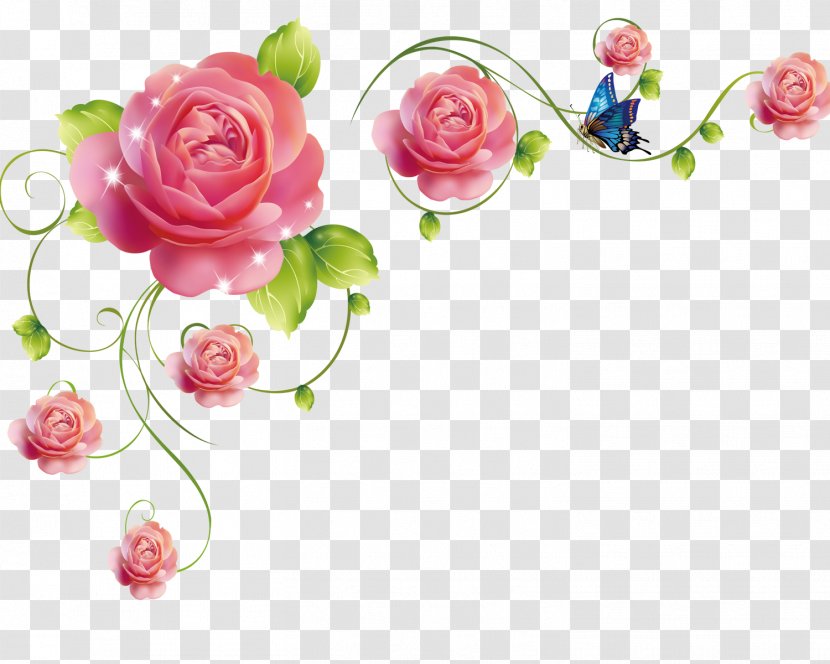 Garden Roses Beach Rose Flower Pink - Family - Rattan Transparent PNG