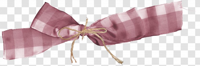 Ribbon Greeting Card Gift - Creativity - Vector Bow Transparent PNG