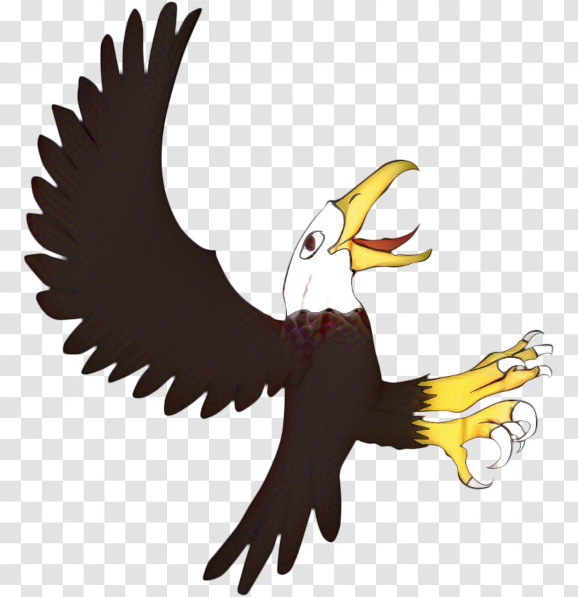 Eagle Drawing - Sea - Tail Hawk Transparent PNG