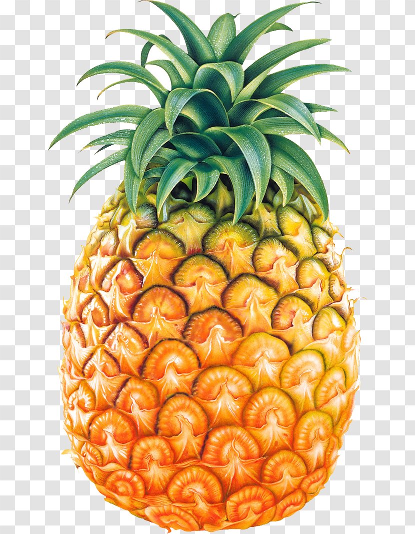 Pineapple Clip Art - Produce - Fruit Image Transparent PNG