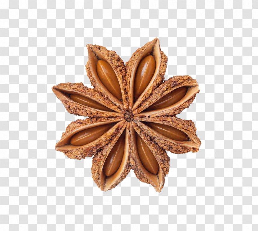 Facing Heaven Pepper Spice Star Anise Food Transparent PNG