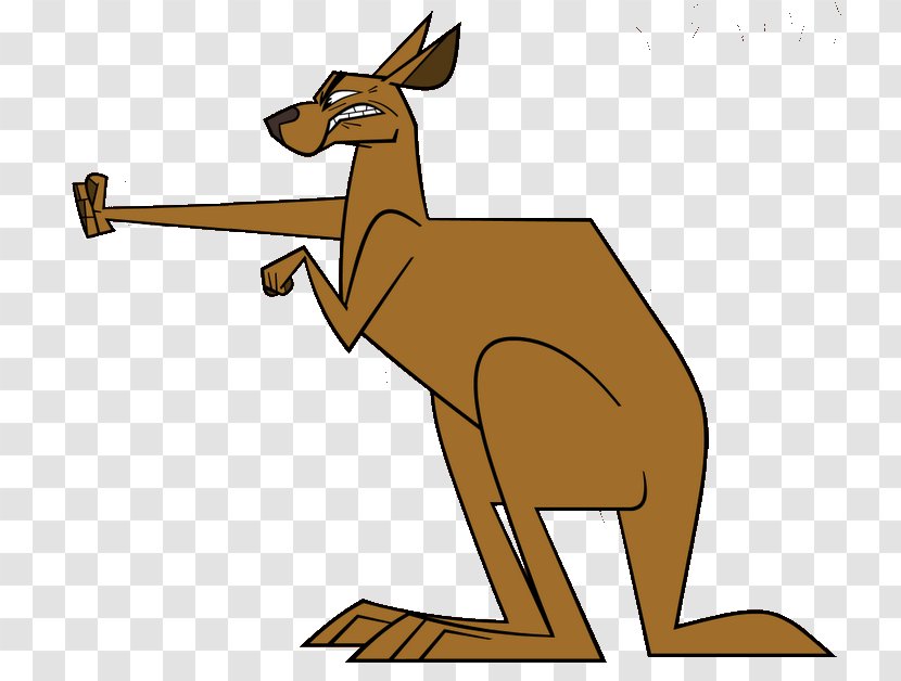 Kangaroo Drawing Clip Art - Marsupial Transparent PNG