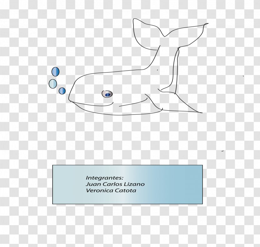 Paper Marine Mammal Logo Product Design - White - Ballena Transparent PNG