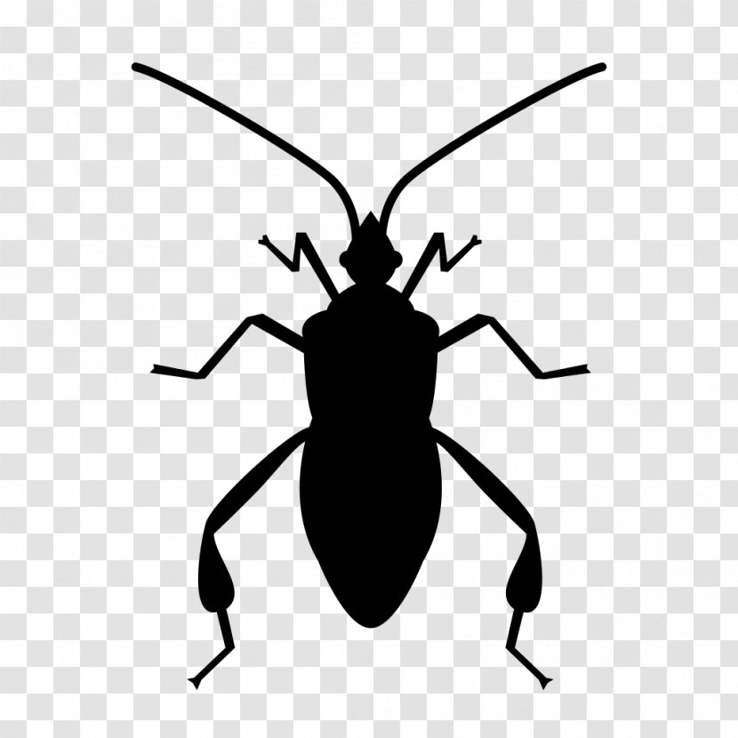 Software Bug Insect - Pest Transparent PNG