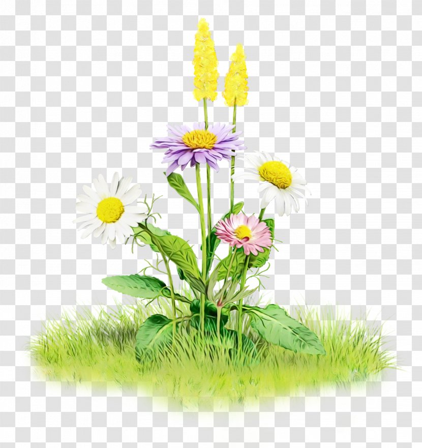Flowers Background - Watercolor - Cut Flowerpot Transparent PNG