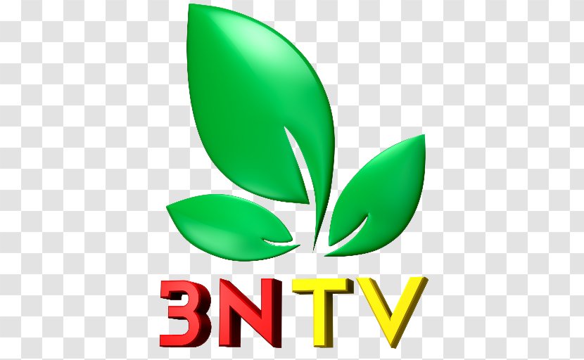 Logo Television Clip Art Brand TodayTV - Todaytv - Trademark Transparent PNG