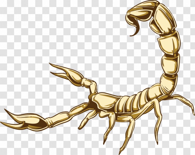 Scorpion Cartoon Illustration - Gold - Vector Transparent PNG