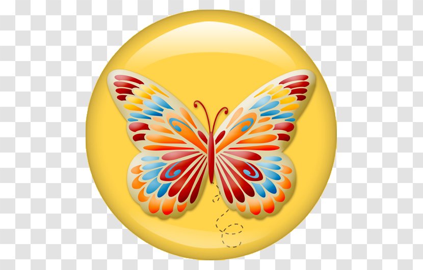 Monarch Butterfly Insect Illustration - Moths And Butterflies - Crystal Button Transparent PNG