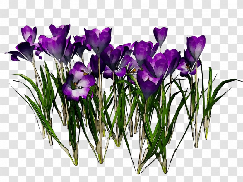 Crocus Floral Design Cut Flowers Flower Bouquet - Grass - Violet Transparent PNG