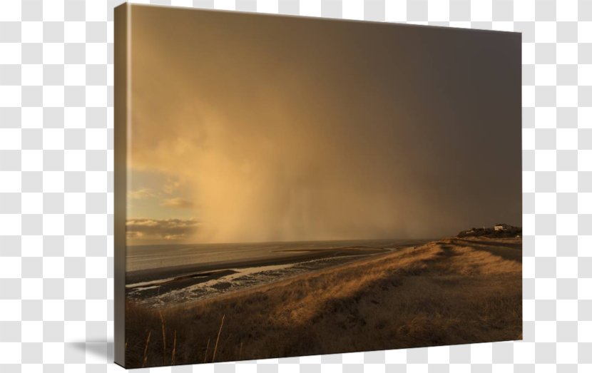 Canvas Print Photography Printing Transparent PNG