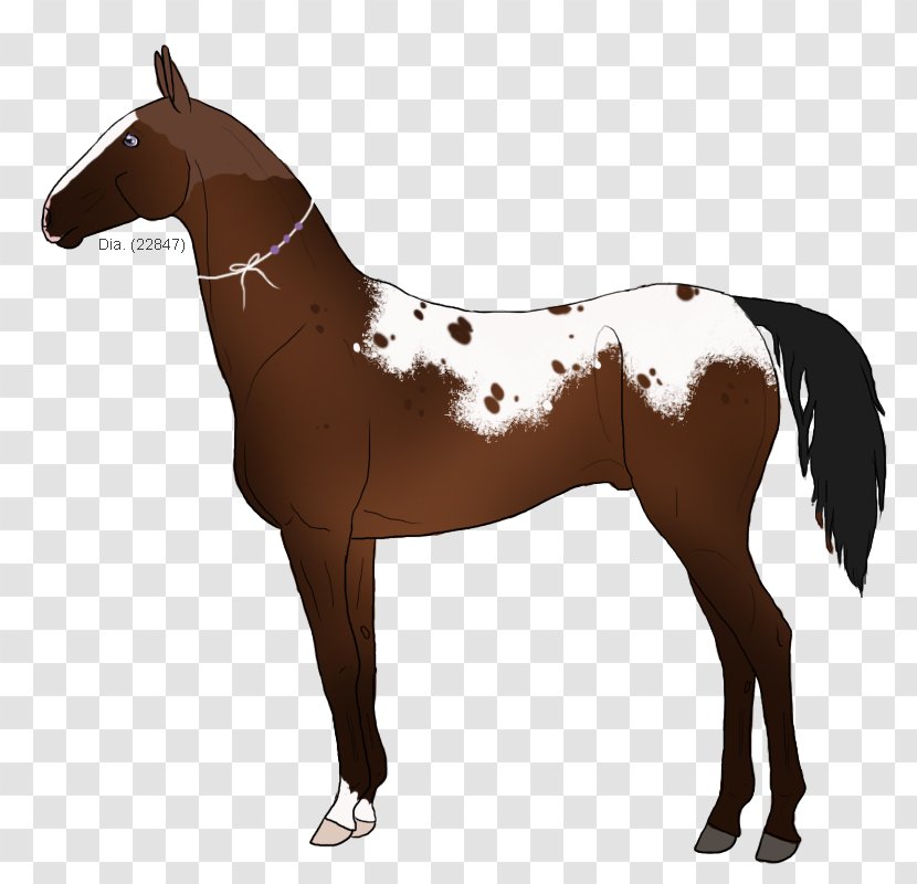 Mustang Mane Stallion Pony Foal - Sorrel Transparent PNG