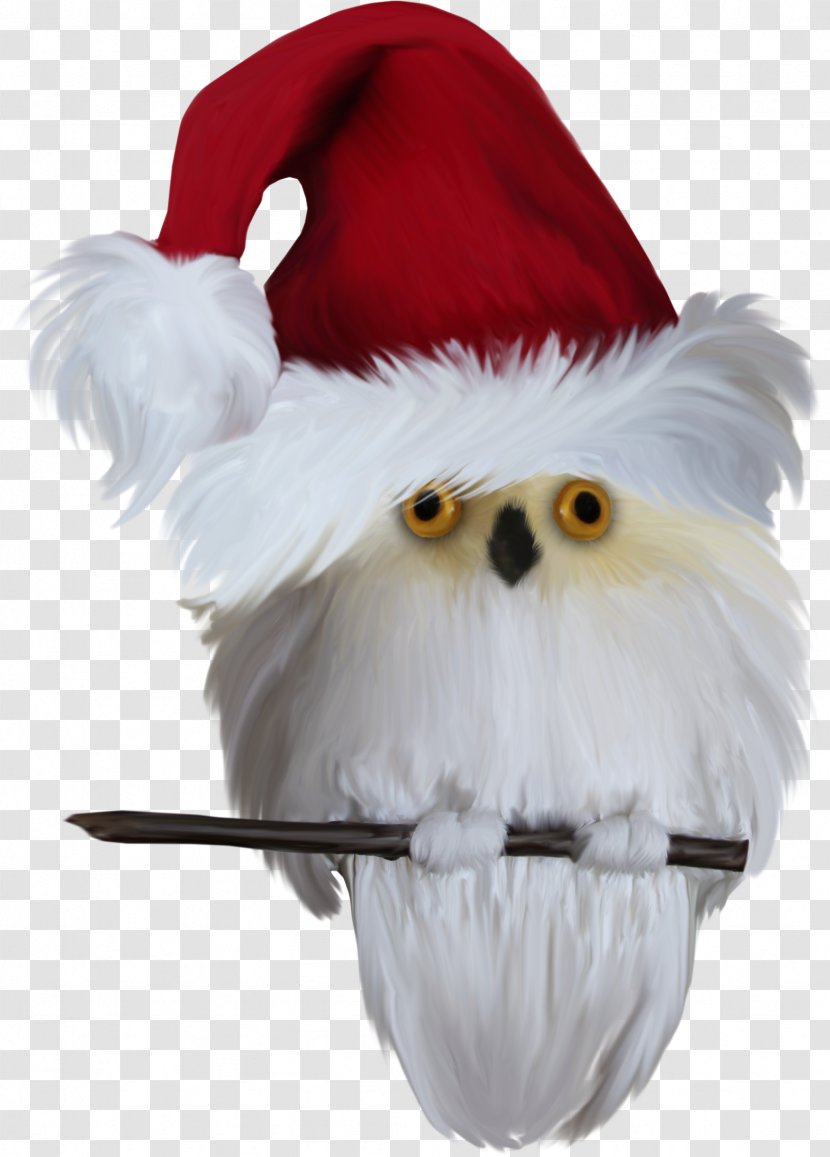 Bird Owl Santa Claus Clip Art - Christmas Ornament - Birds Transparent PNG
