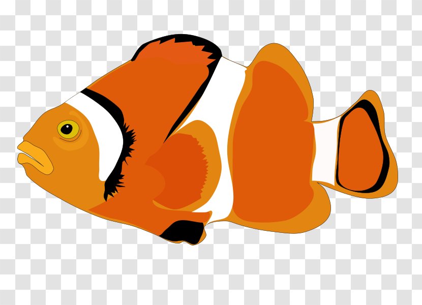 Clip Art Vector Graphics Image Cartoon - Wing - Fish Transparent PNG
