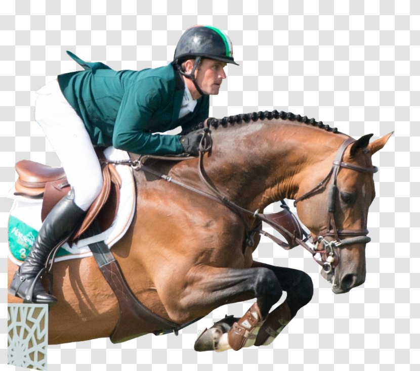 Horse FEI World Equestrian Games Show Jumping English Riding - Hobby - Rider Transparent PNG