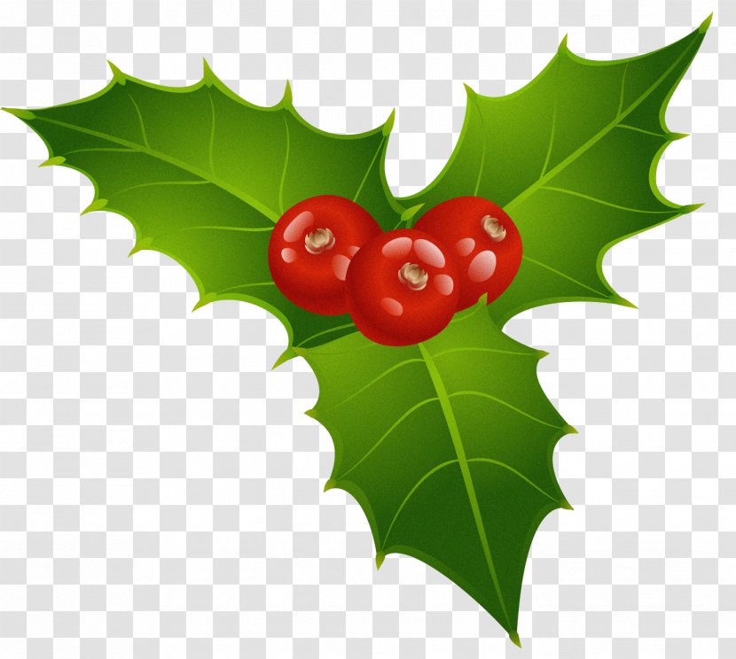 Christmas Tree Background - Berry - Seedless Fruit Currant Transparent PNG