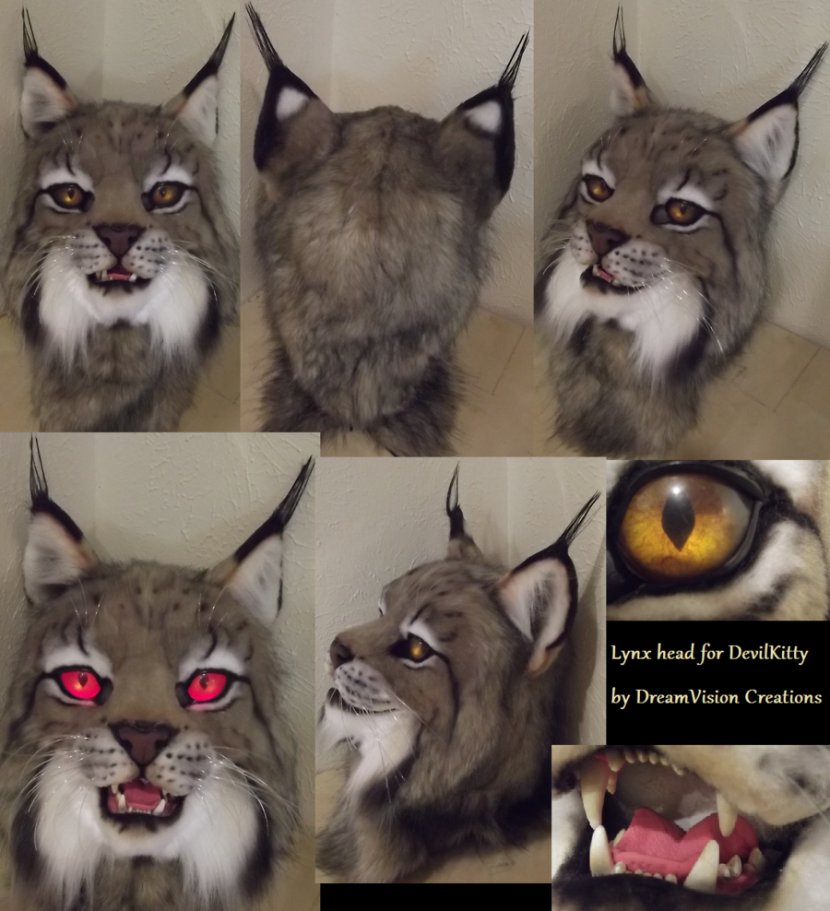 Canada Lynx Fursuit Felidae Costume - Wild Cat Transparent PNG