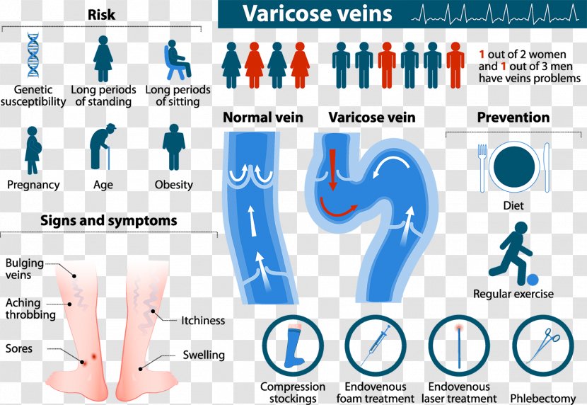 Varicose Veins Telangiectasia Risk Factor Therapy - Cartoon - Flower Transparent PNG