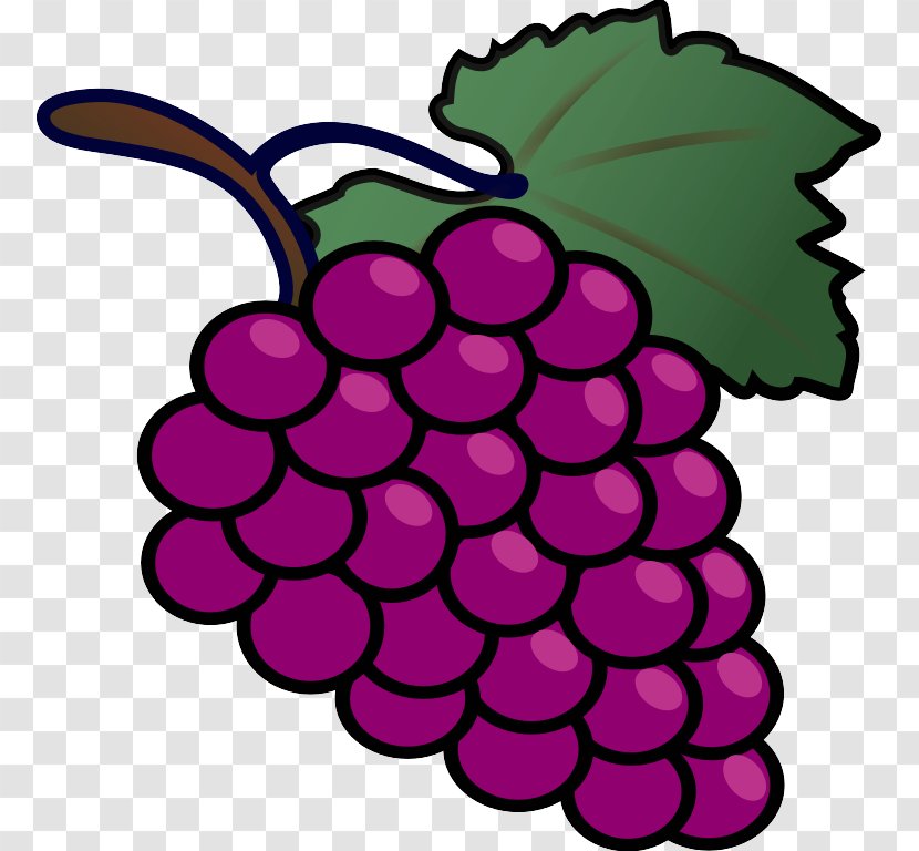 Grape Seedless Fruit Grapevine Family Clip Art - Berry Blackberry Transparent PNG
