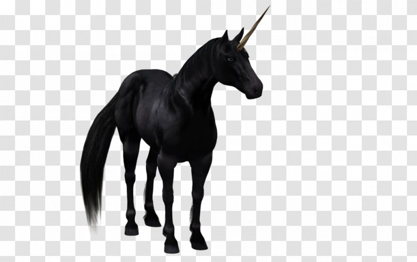 The Black Unicorn Horse - 3d Computer Graphics - Background Transparent PNG