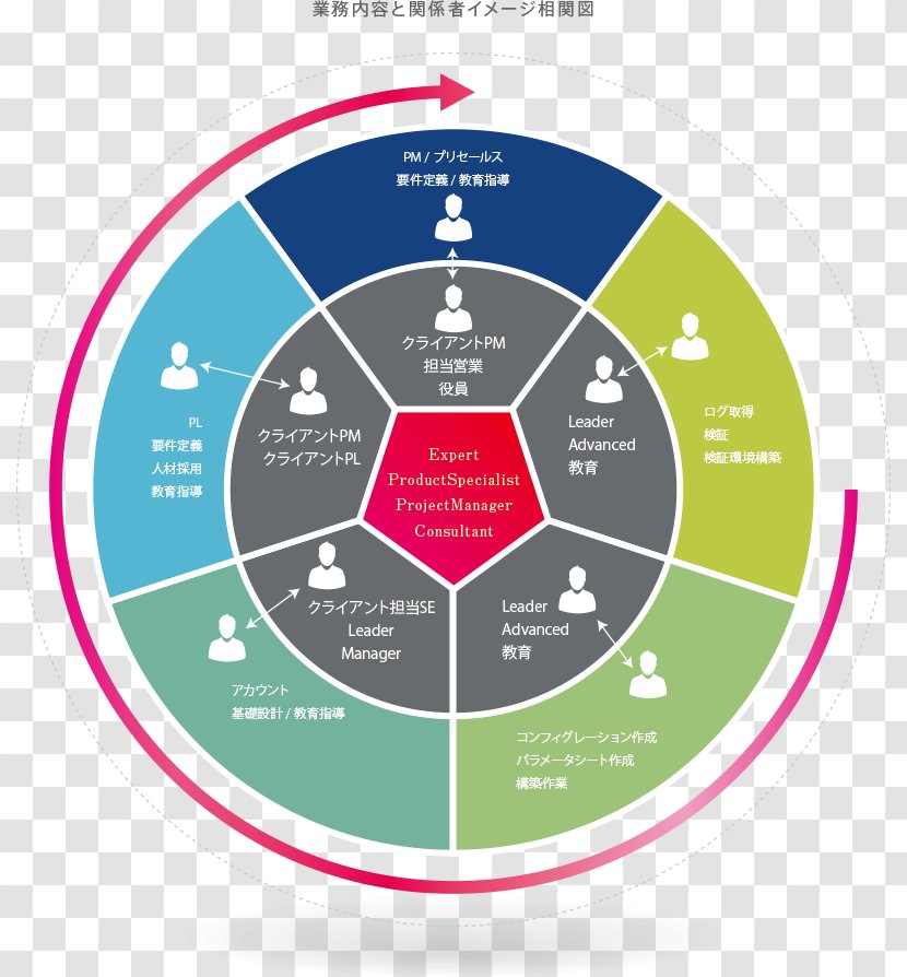 Brand Organization Line - Diagram - Career Path Confusion Transparent PNG