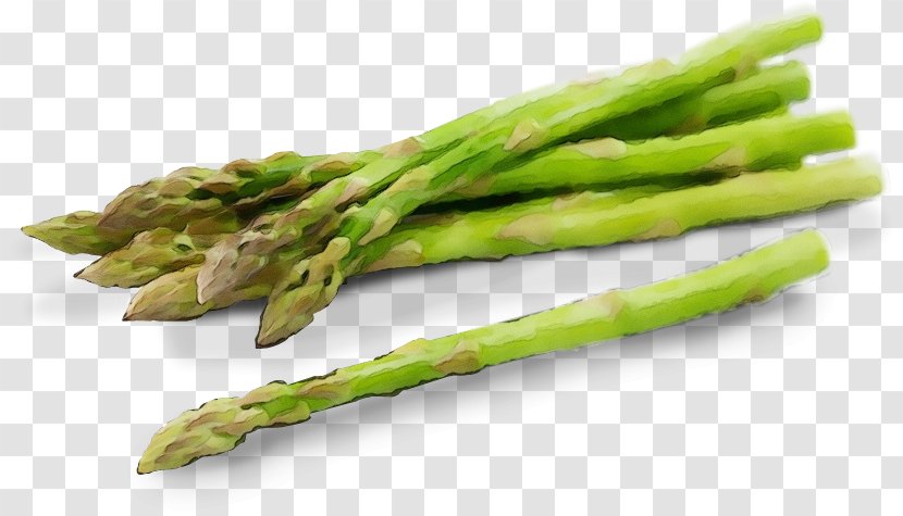 Asparagus Vegetable Food Plant - Ingredient Transparent PNG