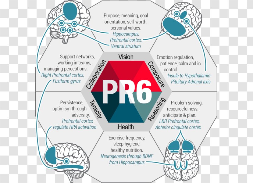 Psychological Resilience Research Scale Psychometrics Measurement - Cartoon Transparent PNG