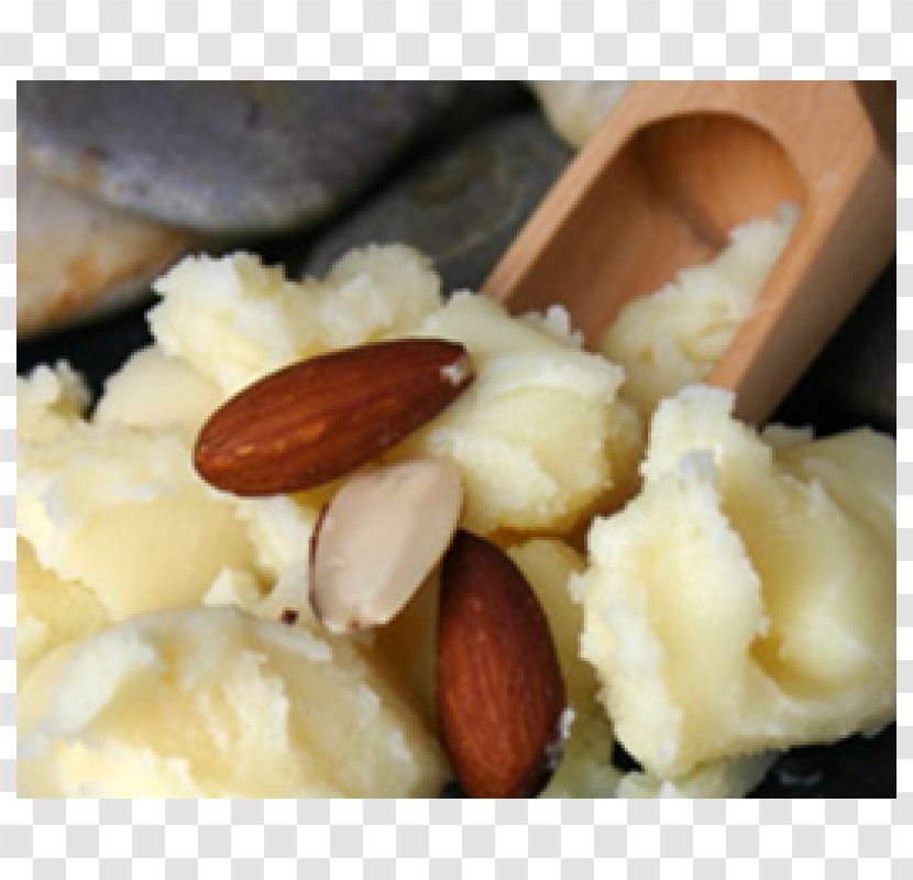 Almond Oil Butter Cocoa - Vitellaria Transparent PNG