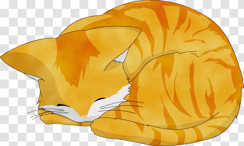 Cat Whiskers Ushio Okazaki Tomoya Okazaki Kitten Transparent PNG