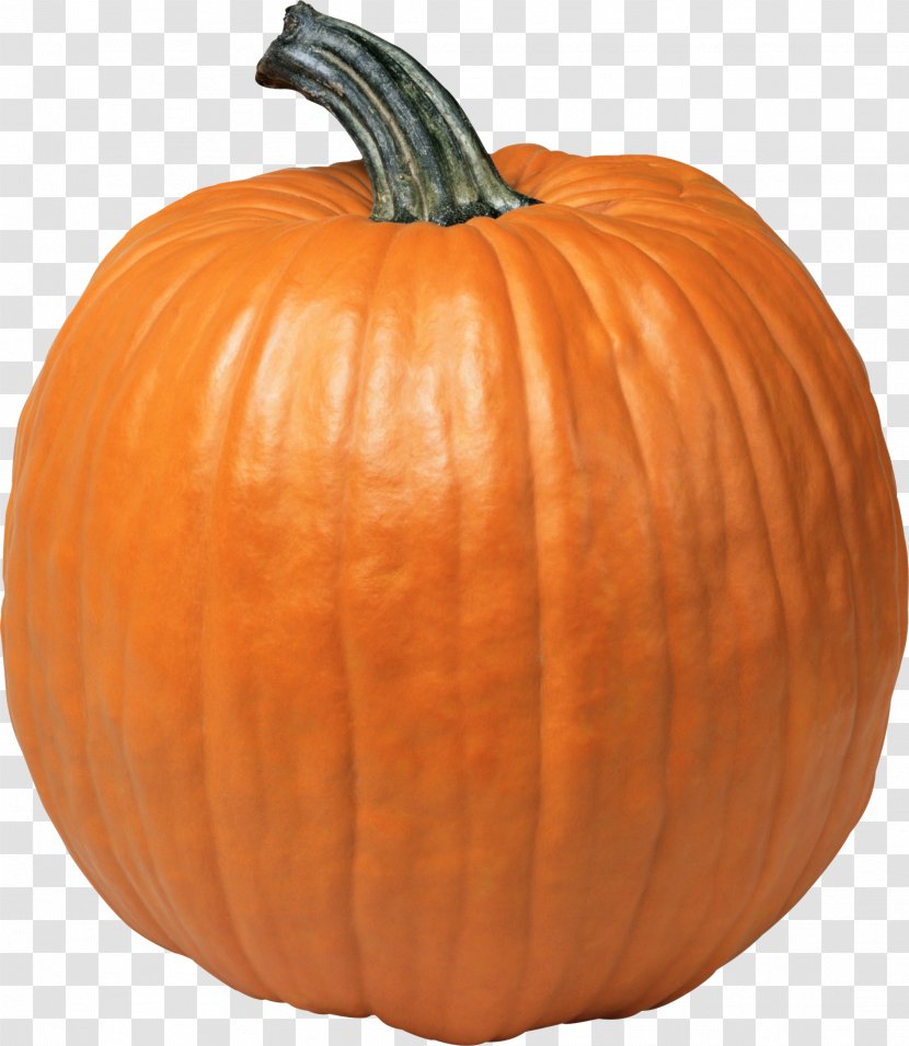 Pumpkin Pattypan Squash Jack-o'-lantern - PNG Image Transparent PNG