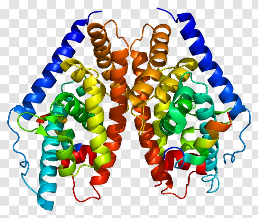 Liver X Receptor Beta Nuclear Retinoid - Gene Transparent PNG