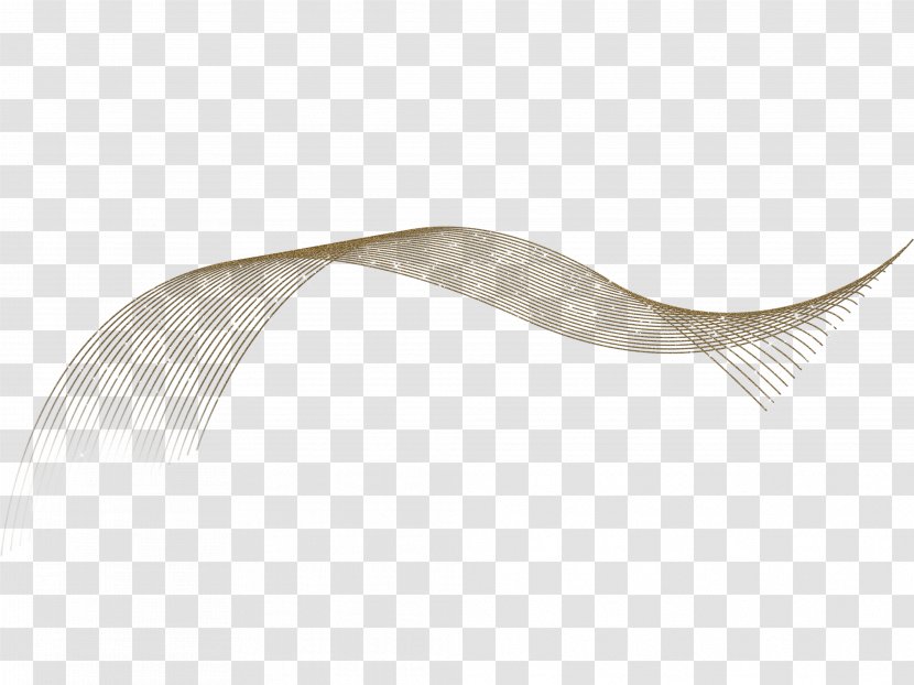 Angle - Wing - Veil Transparent PNG