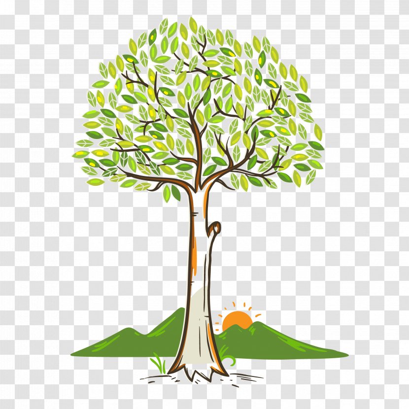Branch Text Leaf Plant Stem Illustration - Green Trees Transparent PNG
