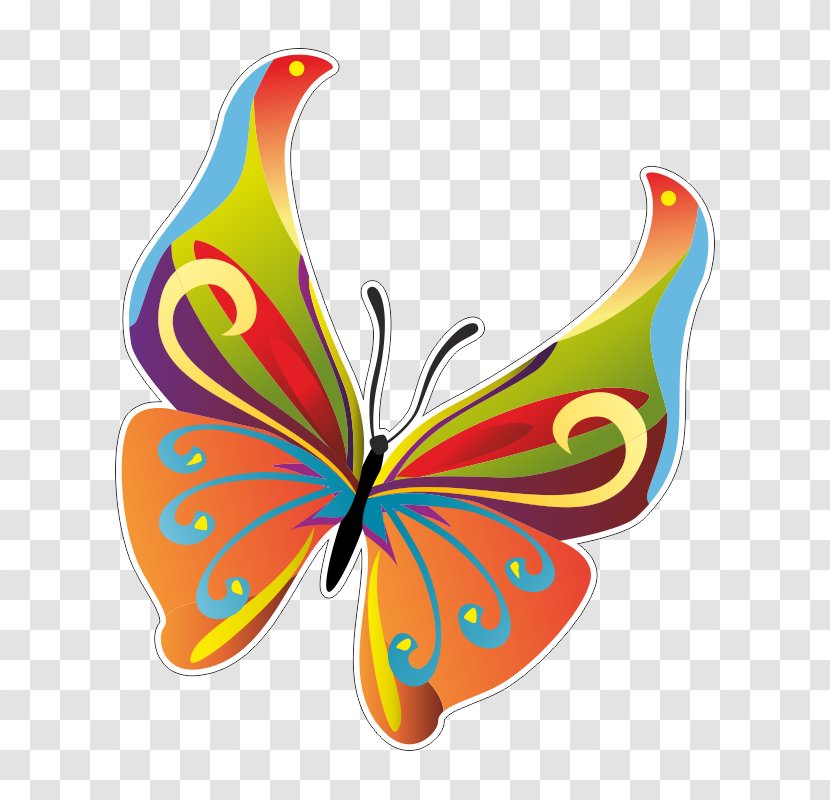 Butterfly Insect Vector Graphics Clip Art - Arthropod Transparent PNG