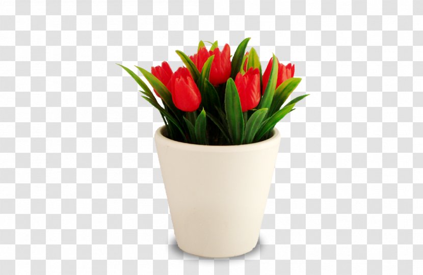 Flowerpot White Yellow Tulip Red Transparent PNG