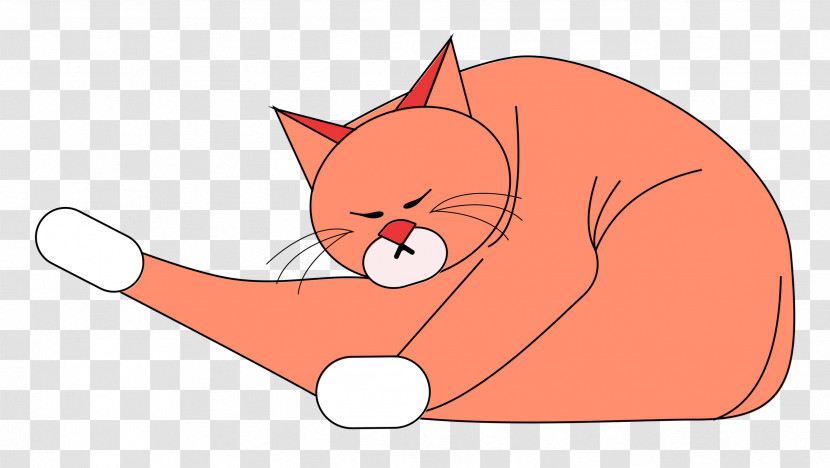 Cat Kitten Whiskers Snout Small Transparent PNG