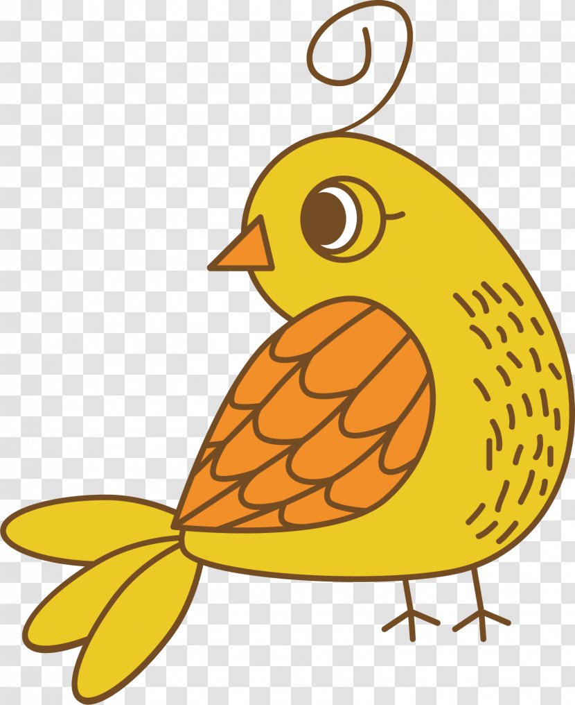 Bird Sparrow Drawing - Cartoon - Vector Transparent PNG